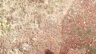 Desi Girlfriend Fucked Rough In The Jungle By Her Boyfriend During Picnic