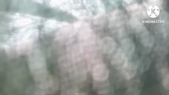 Indian Girl Shivani Getting Railed Outside By Boyfriend In Hindi Mms
