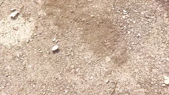 Village Desi Aunty Takes Stepson's Cock Outdoors In Rough Amateur Session