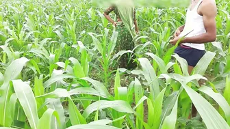 Brother-In-Law Fucks Sister-In-Law In Cornfield With Thick Black Cock
