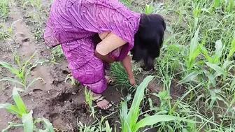 Desi Bhabhi Sneaks Away To Fuck Her Sasur In The Forest Secretly