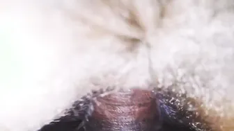 Desi Sister-In-Law Getting Fucked Hard Tonight Making Her Pussy Drip Wet