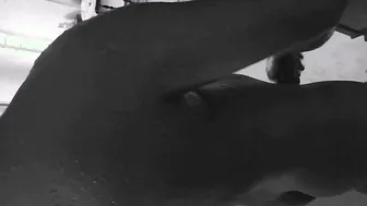 Desi Whore Picked Up From The Beach Fucked Hard In Cheap Hotel