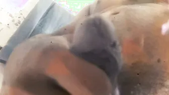 My Wife's Indian Beautician Visits Looking For Cosmetics And Cock