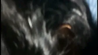 Desi Bhabhi Good Night Made Best With Warm Thick Cum Meal In Mouth