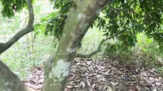 Indian Neighbor Caught Alone In Woods Gets Fucked Hard Against A Tree