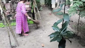 Indian Nephew Catches Aunty Cleaning Yard And Fucks Her On The Spot