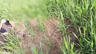 Desi Village Girl Begs Brother-In-Law For Cock In Wheat Fields