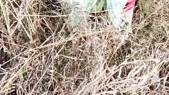 Indian Sister In Law Strips Naked In Forest Pressing Her Big Boobs