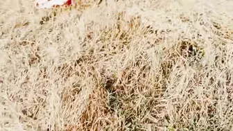 Indian Sister In Law Strips Naked In Forest Pressing Her Big Boobs