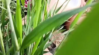 Indian Stepsister Fingers Her Pussy And Ass In The Fields Making Him Hard