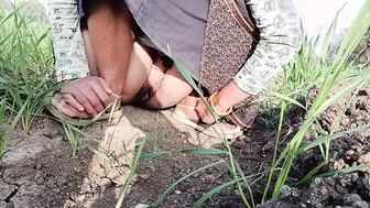 Desi Sister-In-Law Pees Outdoors In Wheat Field And Fingers Her Wet Pussy