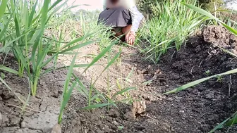 Desi Sister-In-Law Pees Outdoors In Wheat Field And Fingers Her Wet Pussy