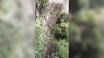 Desi Daughter-In-Law Lifting Clothes In Jungle Fingering For Brother-In-Law