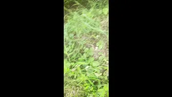 Desi Village Sister In Law Teasing Him Outdoors Before Sex In The Forest