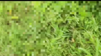 Desi Brother Fucking His Real Sister In Law Outdoors In The Jungle