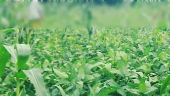 Marathi Wife Kavita Fucks Her Boyfriend Wearing Sexy Traditional Indian Dress