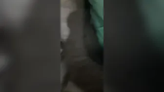 Stepsister Returns Home And Gets Her Ass And Pussy Fucked Hard And Loud Today