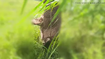 Indian Village Wife Stripping Naked In Front Of Devar Outdoors At Noon