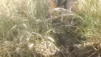 Desi Daughter In Law Fingers Herself In Wheat Field Teasing Her Sasur