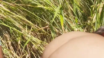 Desi Bhabhi Getting Her Fat Ass Fucked In The Wheat Field By Him