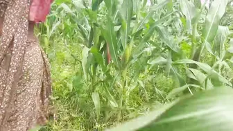 Tamil Stepsister Stripping Naked In The Open Field To Seduce Her Brother