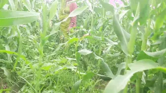 Daughter-In-Law Fingers Her Pussy In Field While Father-In-Law Watches