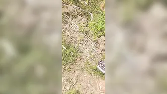Desi Village Bhabhi Calls Jiju To Wheat Field For Ass Fucking And Forest Romance