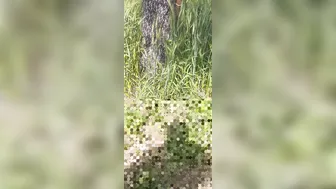 Desi Village Bhabhi Calls Jiju To Wheat Field For Ass Fucking And Forest Romance