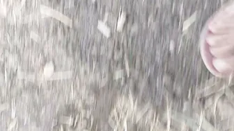 Indian Bhabhi Fingering Her Pussy In The Open Jungle Near The Fields