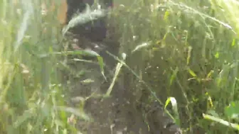 Desi Village Bhabhi Roaming In Forest Bathing Naked In Open Field Bathroom