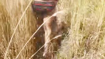 Indian Stepsister Shows Her Fat Ass To Jiju In Wheat Field And Open Forest