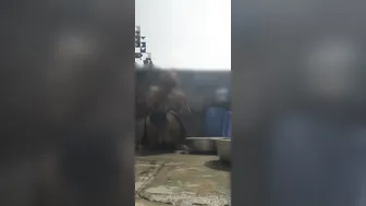 Desi Bhabhi Bathing Naked In Open Bathroom Caught By Her Devar Watching