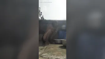 Desi Bhabhi Bathing Naked In Open Bathroom Caught By Her Devar Watching