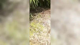 Newlywed Indian Bhabhi Shows Her Ass In Open Forest For Outdoor Sex