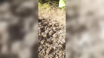 Newlywed Indian Bhabhi Shows Her Ass In Open Forest For Outdoor Sex