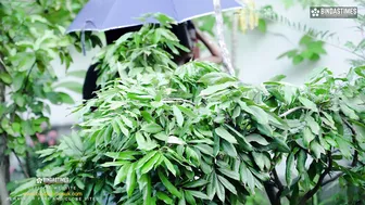 Desi College Students Enjoy Outdoor Sex In Park With Hindi Audio Moans