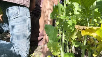 Indian Mother-In-Law Fucked Outdoors In Fields By Her Son-In-Law