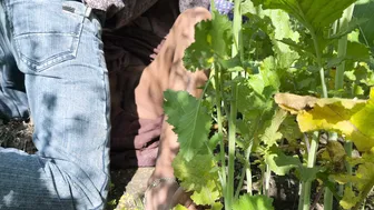 Indian Mother-In-Law Fucked Outdoors In Fields By Her Son-In-Law