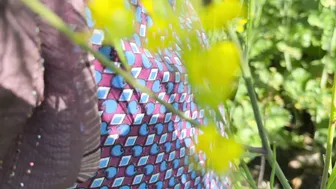 Indian Mother-In-Law Fucked Outdoors In Fields By Her Son-In-Law