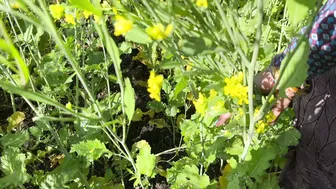 Indian Mother-In-Law Fucked Outdoors In Fields By Her Son-In-Law