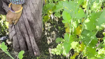 Indian Mother-In-Law Fucked Outdoors In Fields By Her Son-In-Law