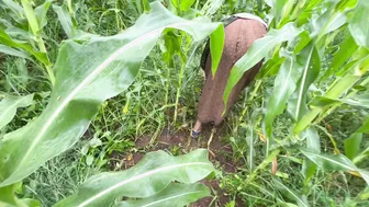 Desi Brother-In-Law Takes Sister-In-Law To Fields For Tight Fuck