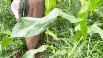 Desi Brother-In-Law Takes Sister-In-Law To Fields For Tight Fuck