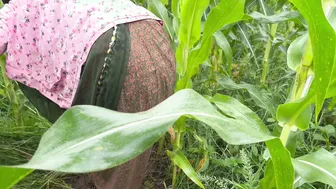 Desi Brother-In-Law Takes Sister-In-Law To Fields For Tight Fuck