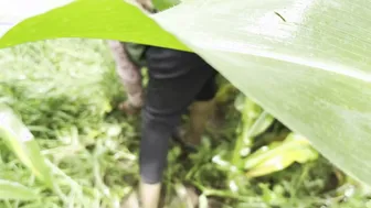 Tamil Brother In Law Taking Sister In Law To Farmhouse For Secret Affair