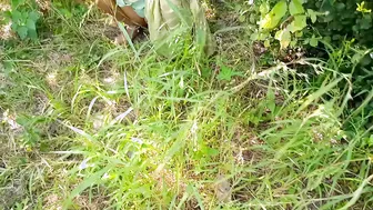 Desi Stepsister In Traditional Salwar Gets Railed By Her Stepbrother