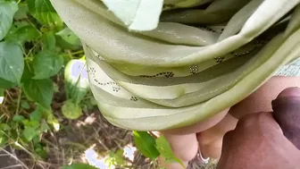 Desi Stepsister In Traditional Salwar Gets Railed By Her Stepbrother