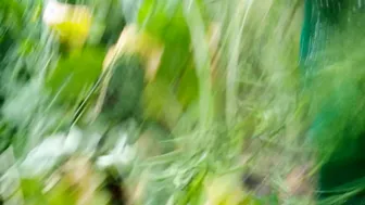 Indian Mother In Law Fucked Raw In The Fields By Her Son In Law