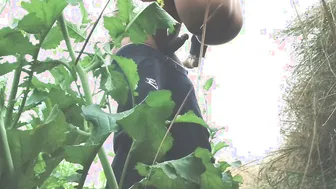 Village Girl Fucked Deep In Mustard Fields Under Open Sky